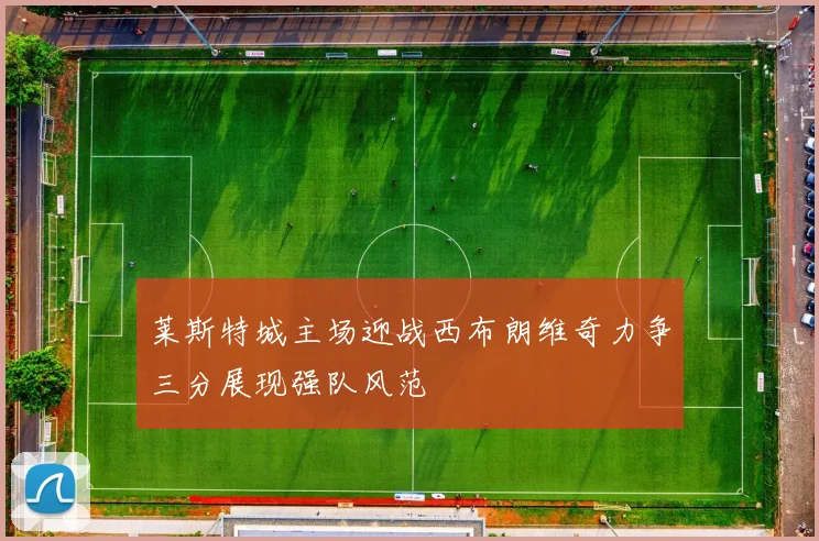 莱斯特城主场迎战西布朗维奇力争三分展现强队风范